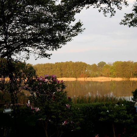 Bungalow Idylle Am See Neuruppin Buitenkant foto