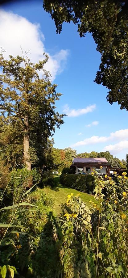 Bungalow Idylle Am See Neuruppin Buitenkant foto