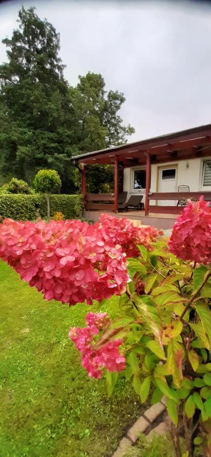 Bungalow Idylle Am See Neuruppin Buitenkant foto