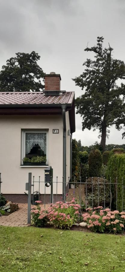 Bungalow Idylle Am See Neuruppin Buitenkant foto