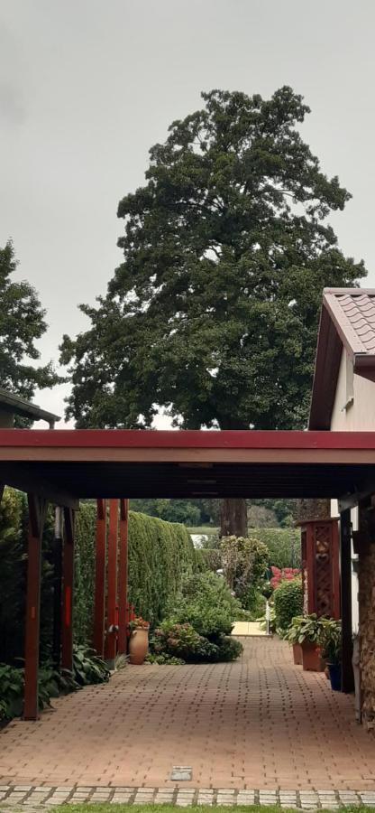 Bungalow Idylle Am See Neuruppin Buitenkant foto