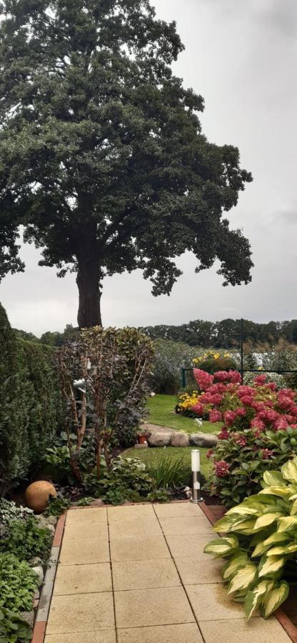 Bungalow Idylle Am See Neuruppin Buitenkant foto