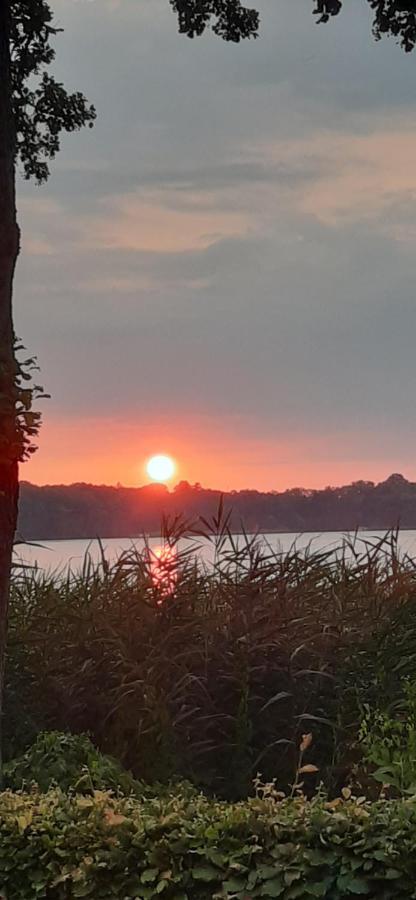 Bungalow Idylle Am See Neuruppin Buitenkant foto